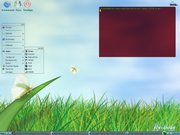 fluxbox rec&eacute;n-instalado.